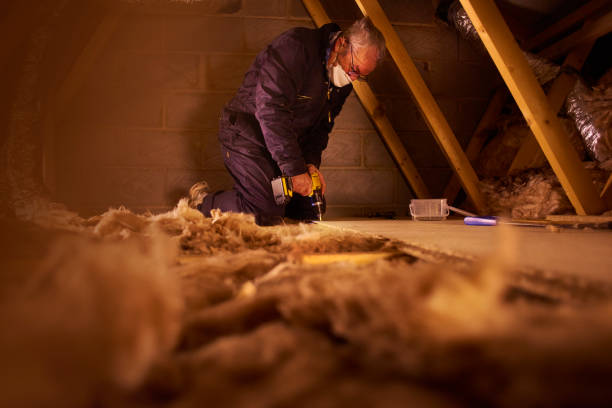 Best Residential Insulation in Pine Level, NC